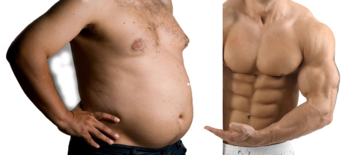 le muscle mange t il la graisse le muscle mange t il la graisse