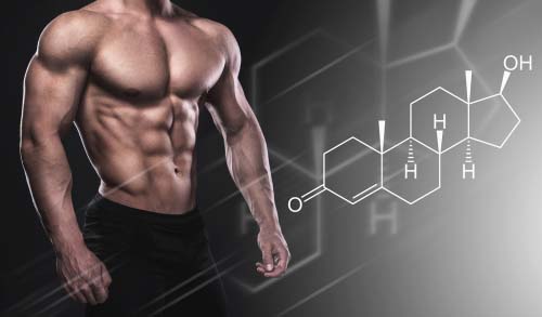 Natural testosterone: How to optimize its production ...