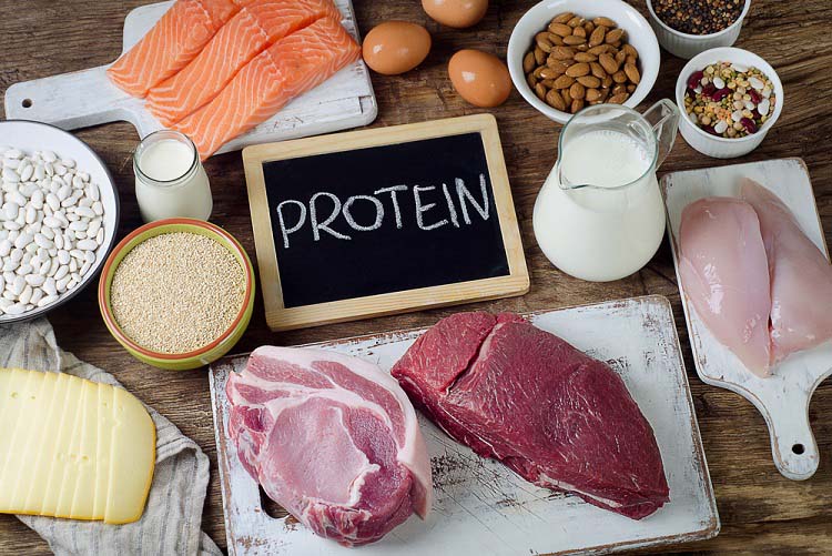 Protéines et lipides pour rester sec