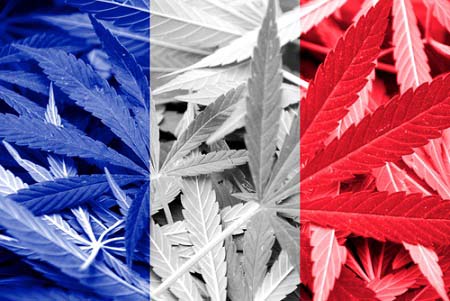 La France et le cannabis thérapeutique
