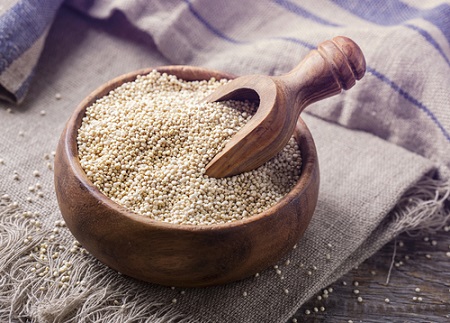 Le quinoa est riche en protéines
