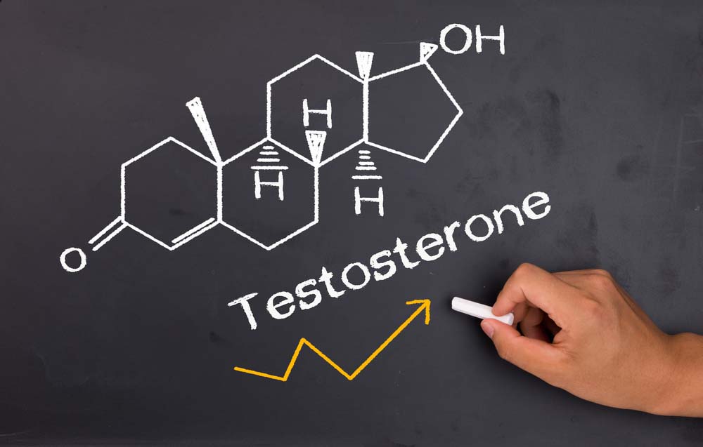 Les boosters de testostérone