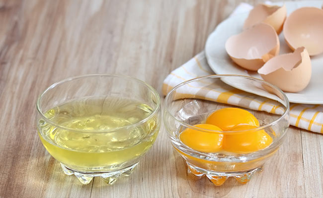 Protéine de Blanc d'œuf bio en poudre 500 g - Source de protéines