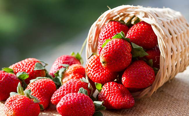 Les fraises, riches en flavan-3-ols