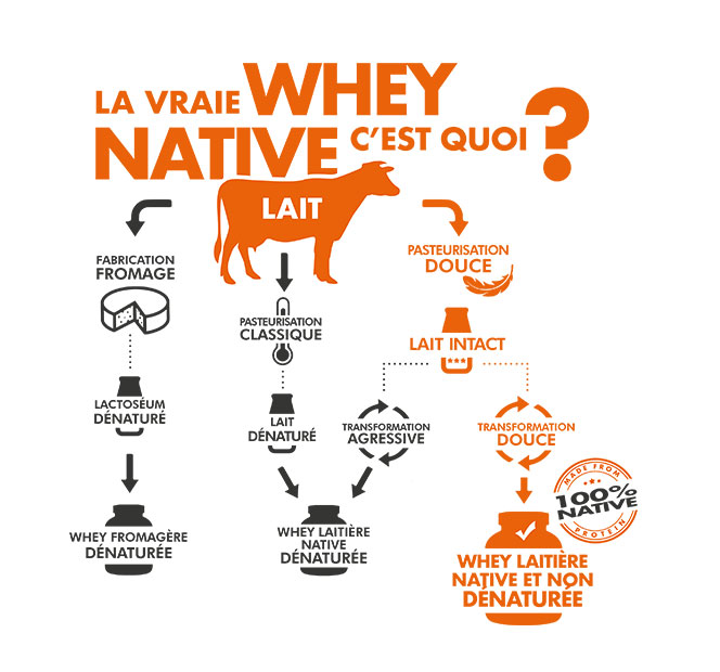 La vraie whey native, c'est quoi ?